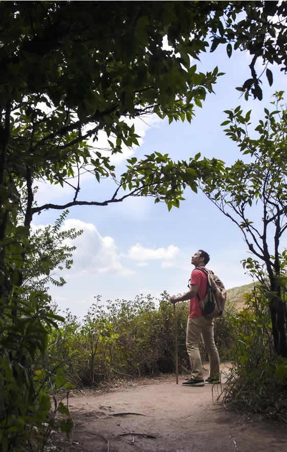 Projetos de preservação Ambiental